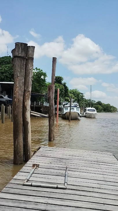 Amapá dedetização