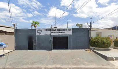 BLINGEL VIGILÂNCIA E SEGURANÇA LTDA